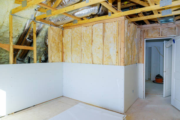 Best Insulation Maintenance and Repair in Chatham, IL