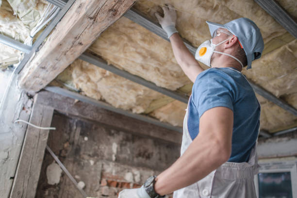 Best Insulation Installation Services in Chatham, IL