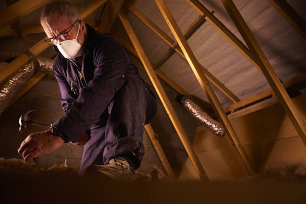 Best Insulation for Specific Applications in Chatham, IL